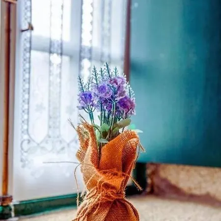 Pensionat Refugio Dos Cartolas 3*