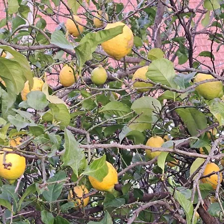 Refugio Dos Cartolas 3* São Mamede de Infesta
