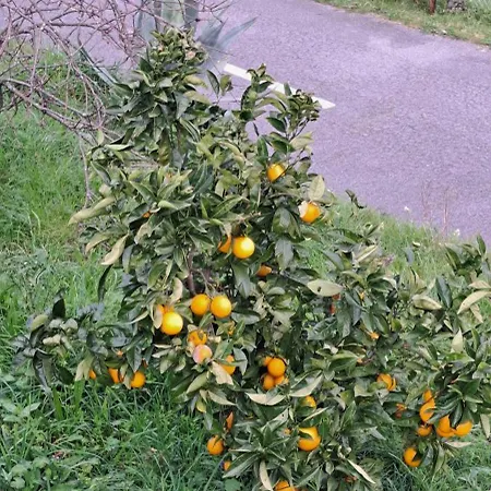 Refugio Dos Cartolas 3*