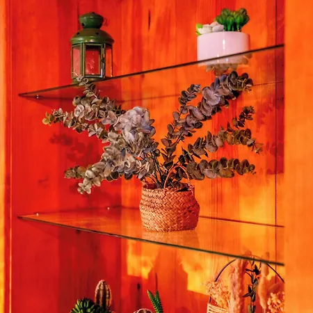 Refugio Dos Cartolas 招待所 3*