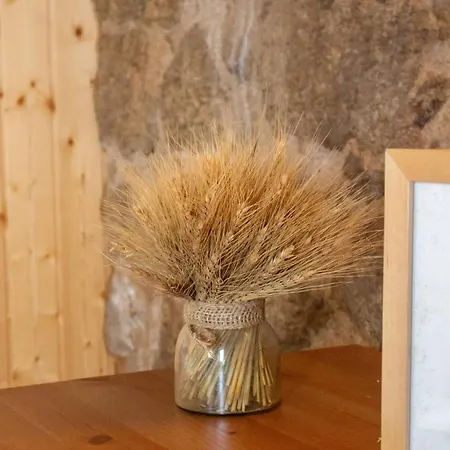 Refugio Dos Cartolas - Mountain Retreat וילה