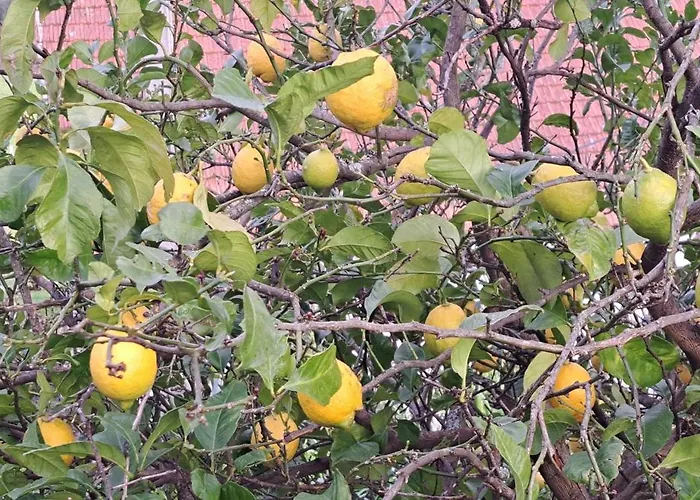 Refugio Dos Cartolas - Mountain Retreat * São Mamede de Infesta