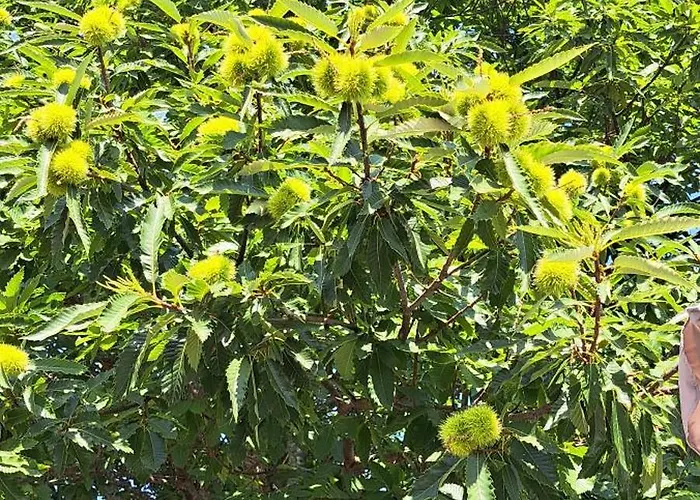Refugio Dos Cartolas - Mountain Retreat Βίλα *
