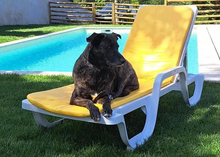 Refugio Dos Cartolas - Mountain Retreat Vila *