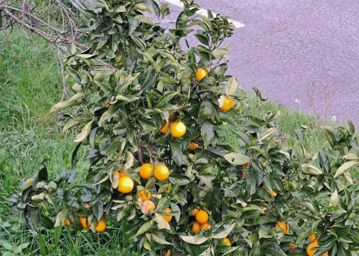 Refugio Dos Cartolas - Mountain Retreat *