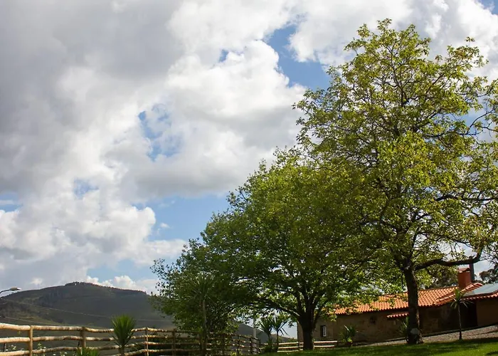Refugio Dos Cartolas - Mountain Retreat São Mamede de Infesta